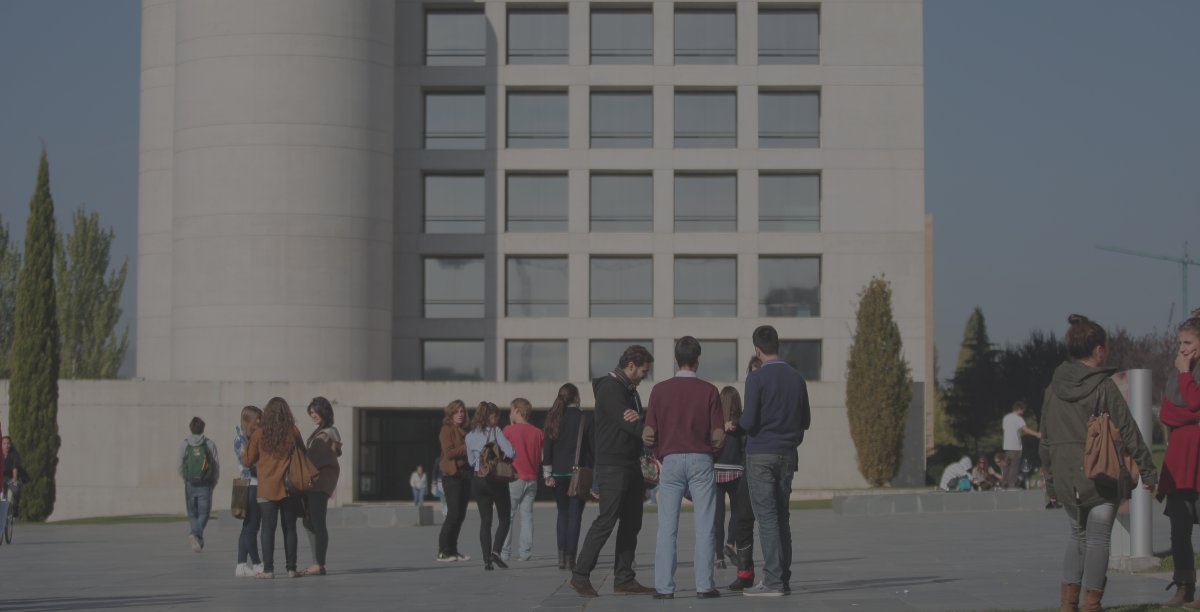 Bibliotecas de la Universidad de Navarra. Apoyo para el investigador