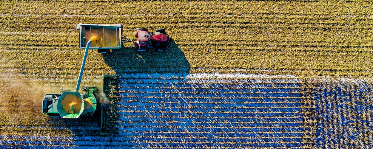 Farming, Non-Farm Enterprises, and Migration under Incomplete Markets