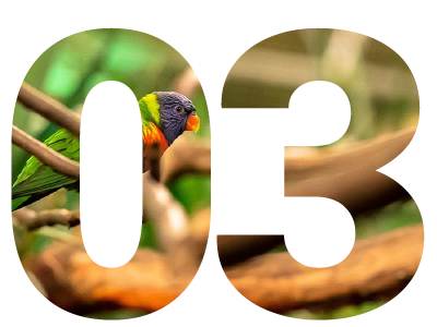 Biodiversidad y ecosistemas