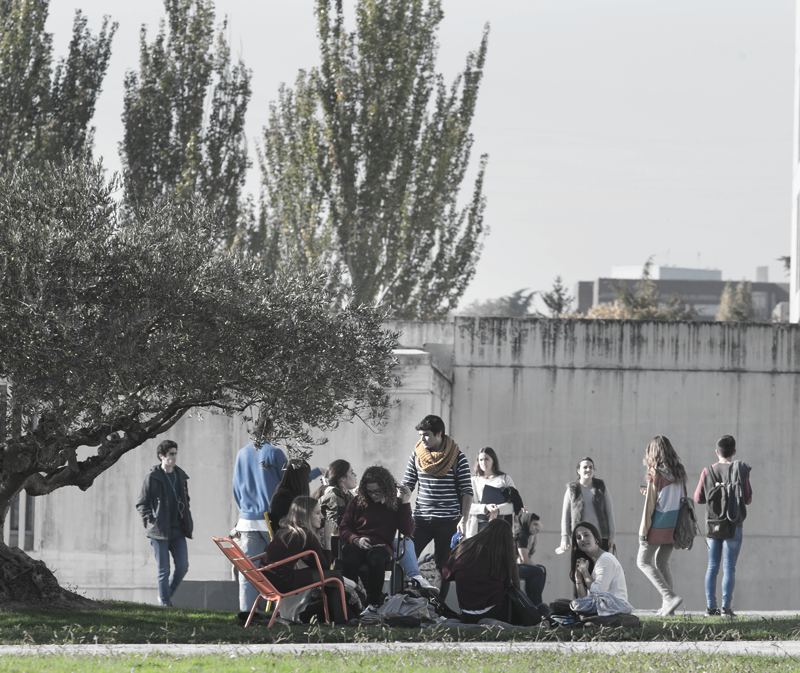 Alumnos en el campus