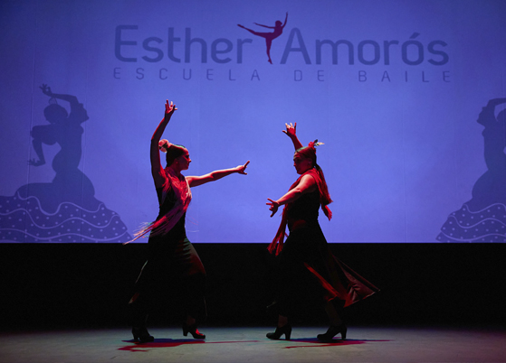 Imagen 6