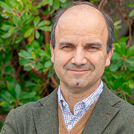 Bruno Rodríguez-Rosado