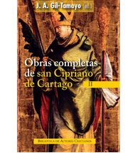 Descripcion de la imagen