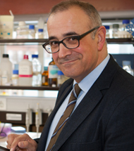 Ignacio López Goñi