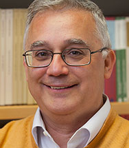 Descripción de la imagen