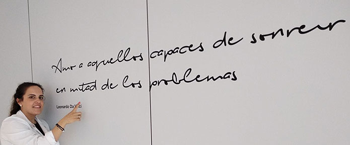 Descripcion de la imagen
