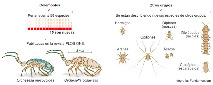 Descripcion de la imagen