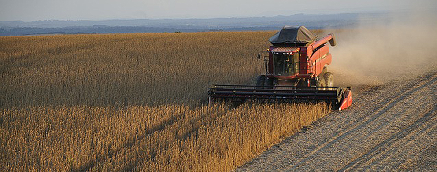 GRAIN Latin America - Soya nexus in South America
