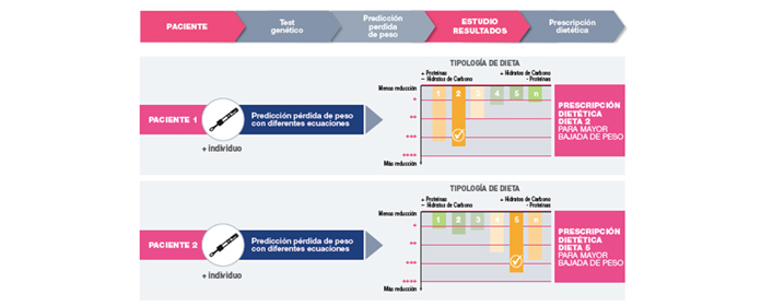 Descripcion de la imagen