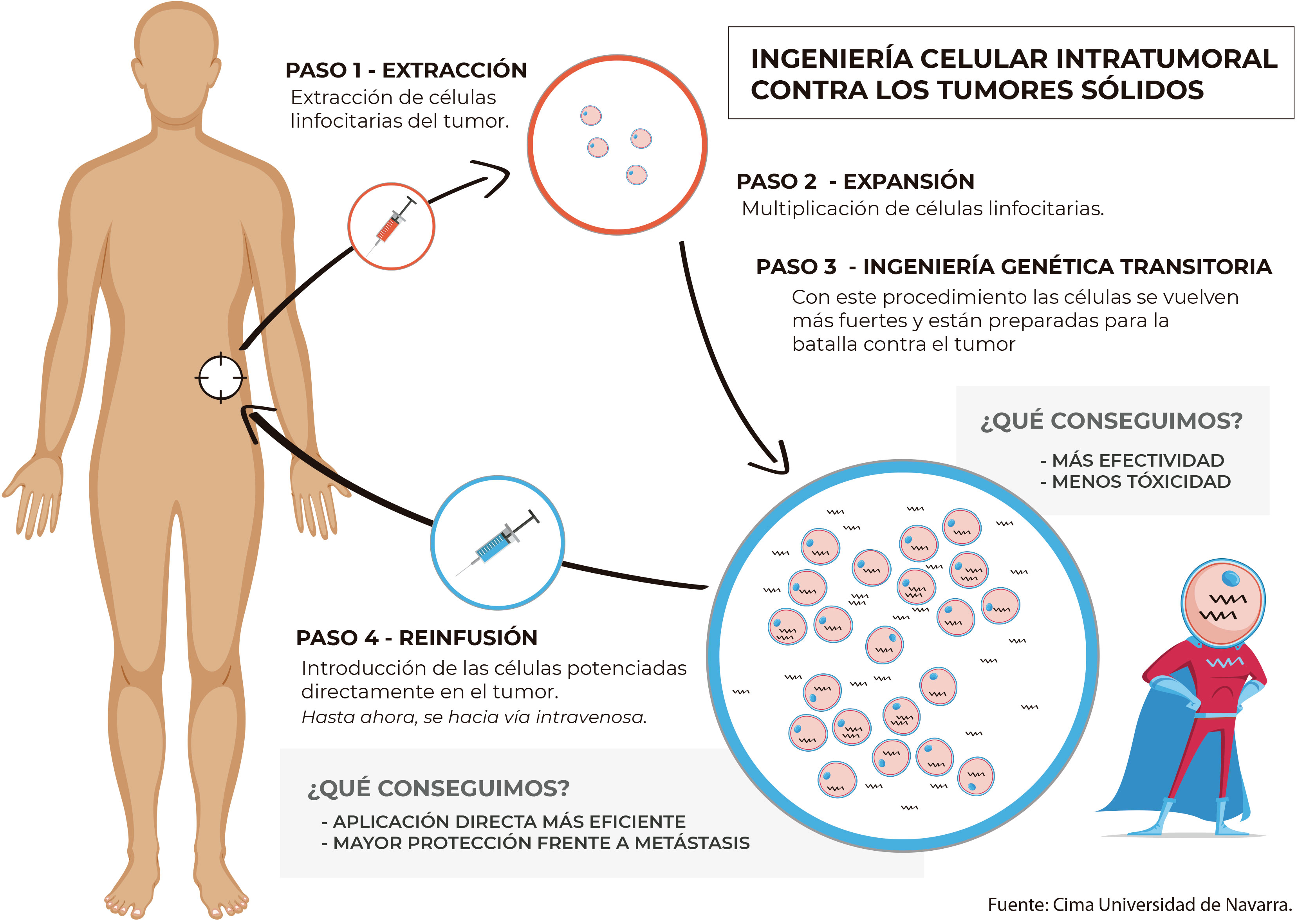 Ingeniería celular intratumoral contra los tumores sólidos