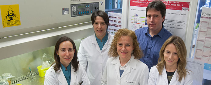 Descripcion de la imagen