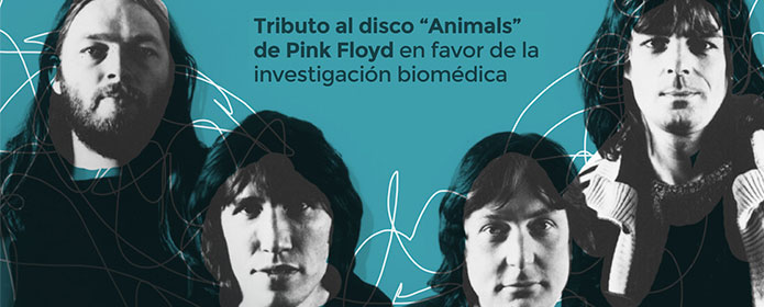 Descripcion de la imagen
