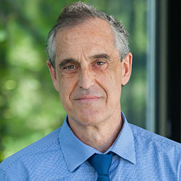 Carlos Gamazo (PhD)