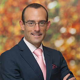 Manuel Vilches