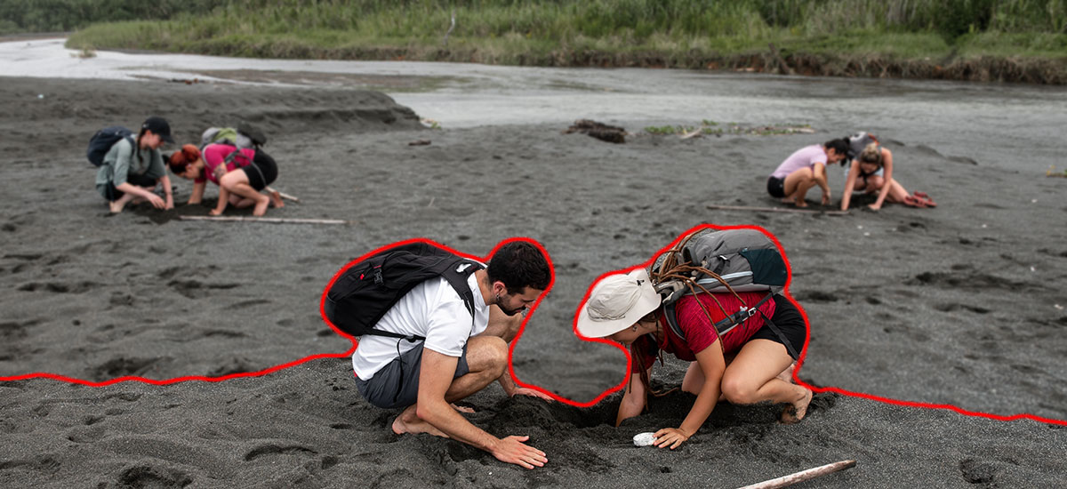 Grado en Ciencias Ambientales