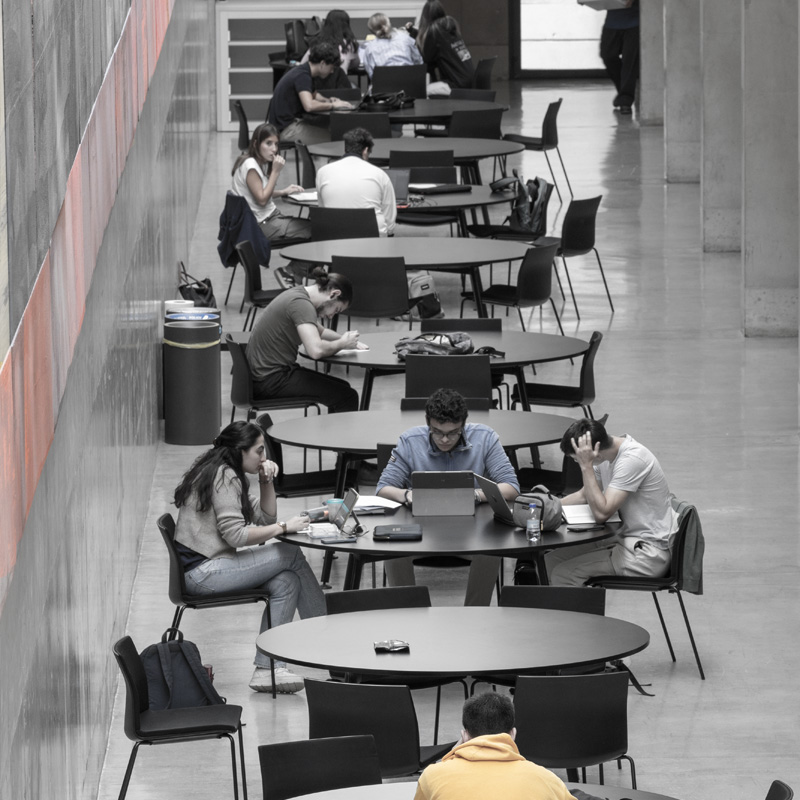 Alumnos de la Facultad trabajando