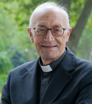 Descripción de la imagen