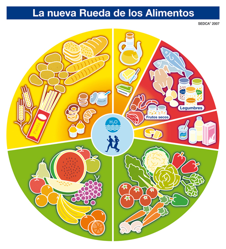 Alimentos y nutrientes - Por una comida sana, tú decides. Universidad de  Navarra