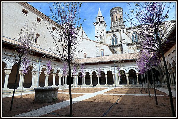 Claustro de la catedral de Tudela en la actualidad