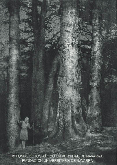 Bosques de Roncesvalles