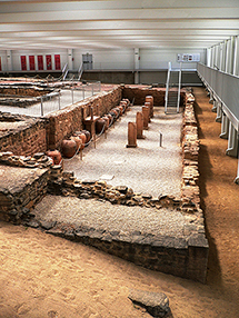 Bodega. Cella vinaria