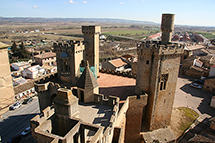 El palacio de Olite