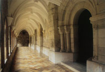 Claustro