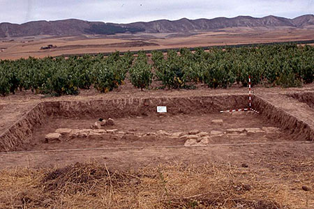 La viña antes de su permuta impide el avance de la excavación