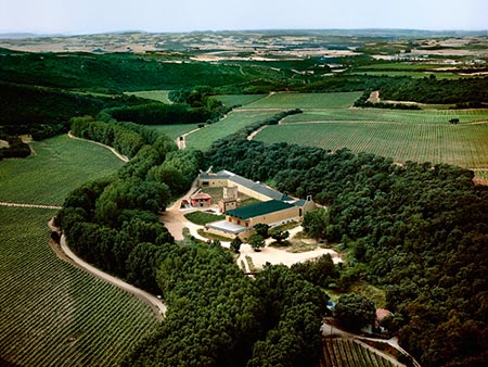 El paisaje del vino. Moneo y Arínzano