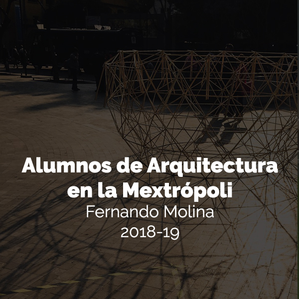 Estructura de un huevo en MEXTRÓPOLI