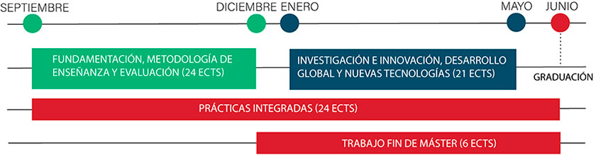 Estructura del Plan de estudios