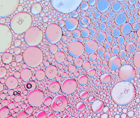 New clues for solving a “major challenge” in modern biology