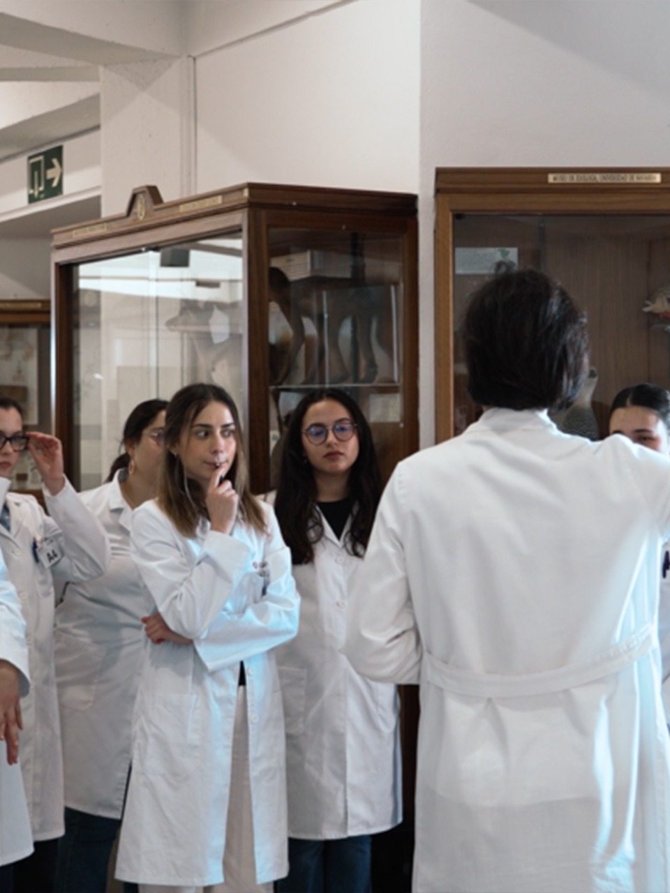 Formación de excelencia