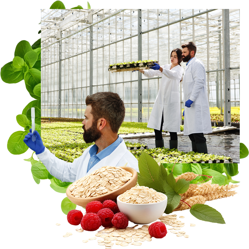 Áreas de investigación