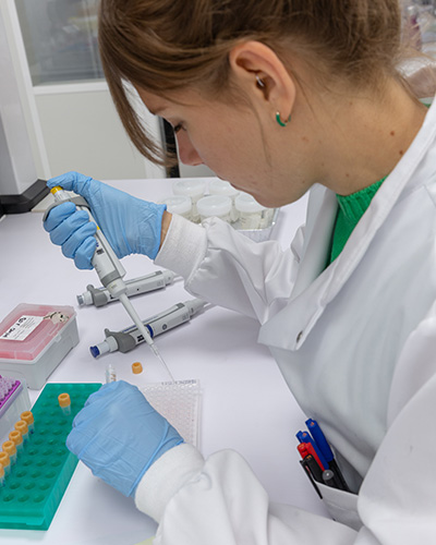Nuestros investigadores