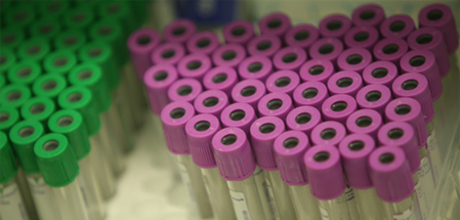 Bioquímica clínica