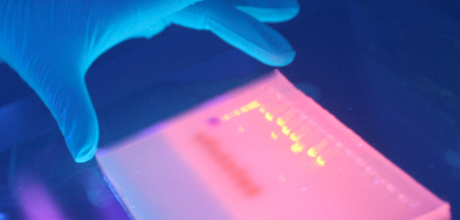 CIMA LAB Diagnostics