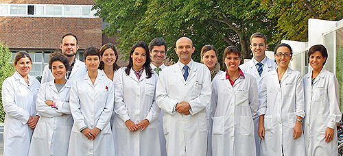Equipo Proyecto SUN Equipo Proyecto SUN
