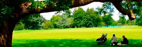 inicio Cátedra de Madera