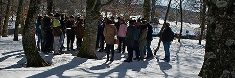 Construcción en Madera curso 2012-2013