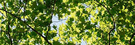 Seminarios Seminarios