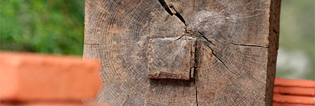 Cursos y talleres junio 2013. Taller de Cadwork