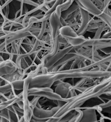 Supramolecular Materials for Biomedical and Environmental Technologies Supramolecular Materials for Biomedical and Environmental Technologies