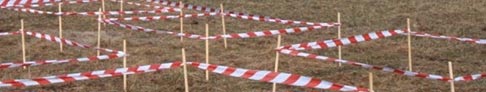 Toma y tratamiento de muestras Toma y tratamiento de muestras