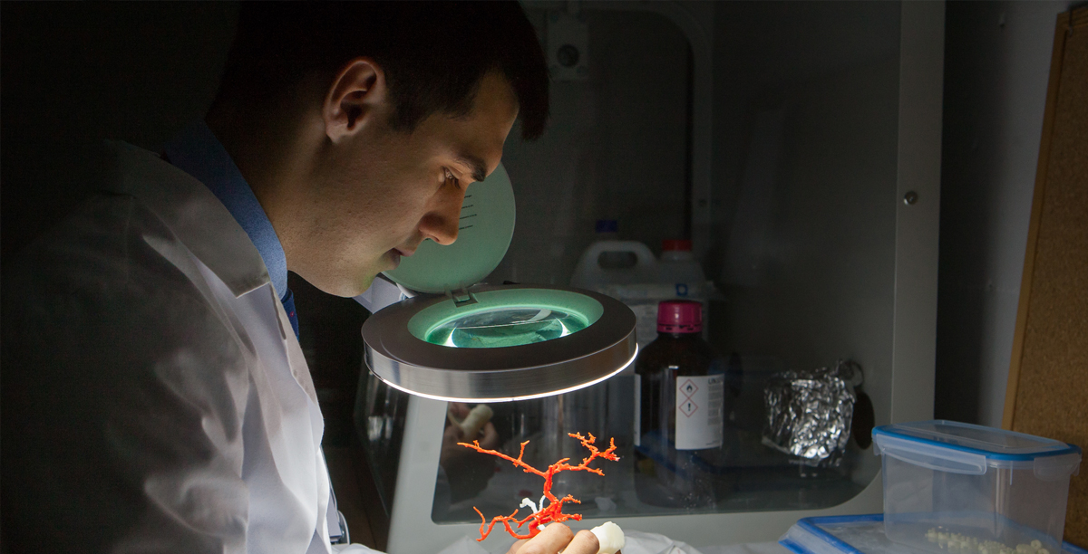 Departamento de Ingeniería Biomédica y Ciencias