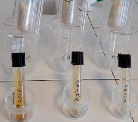 Biocidas de origen natural (BIONA) Biocidas de origen natural (BIONA)