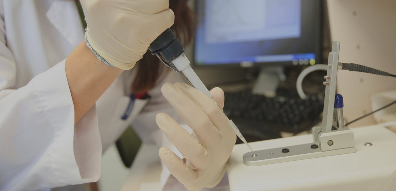 Programa de Doctorado en Alimentación, Fisiología y Salud