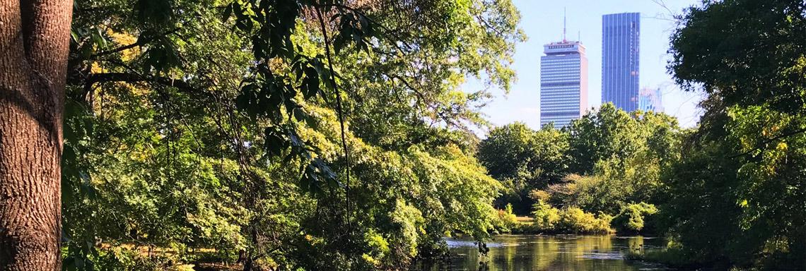 Ciudades Saludables: Transformando el entorno urbano para el bienestar de todos