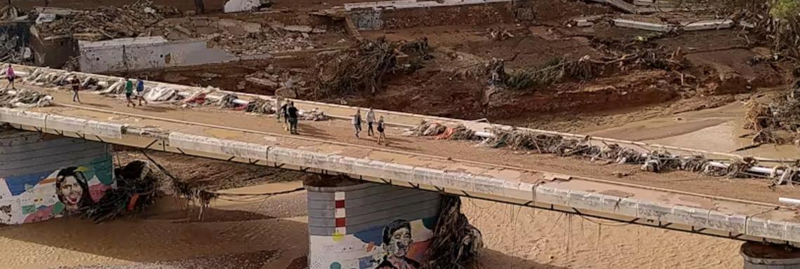 Manual de instrucciones para gestores de situaciones inesperadas como la dana