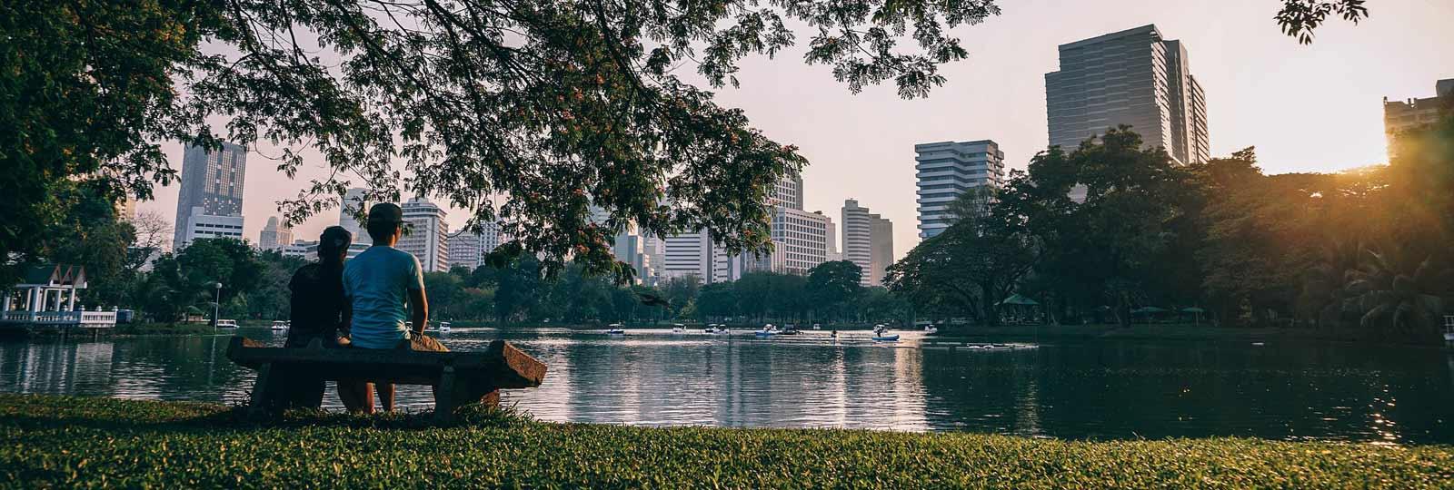 Servicios ecosistémicos de la vegetación en las ciudades